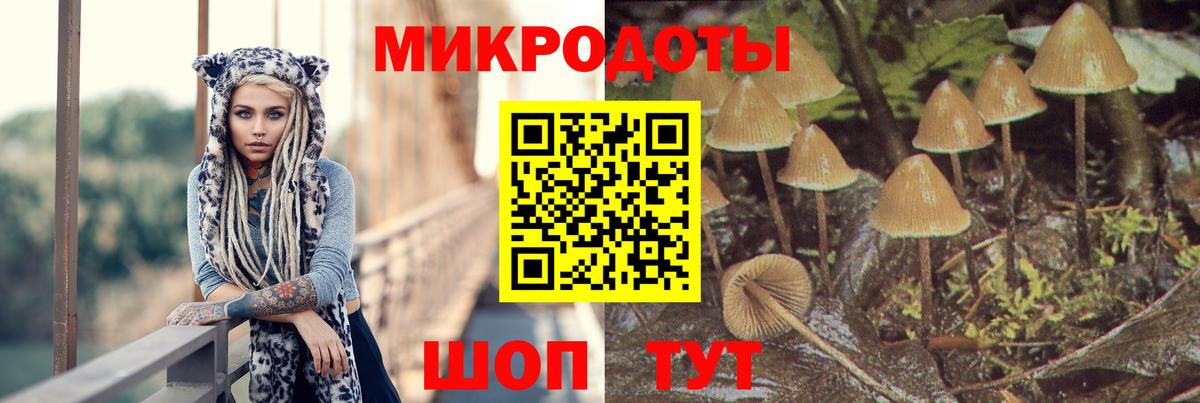 Псилоцибиновые грибы GOLDEN TEACHER Вологда
