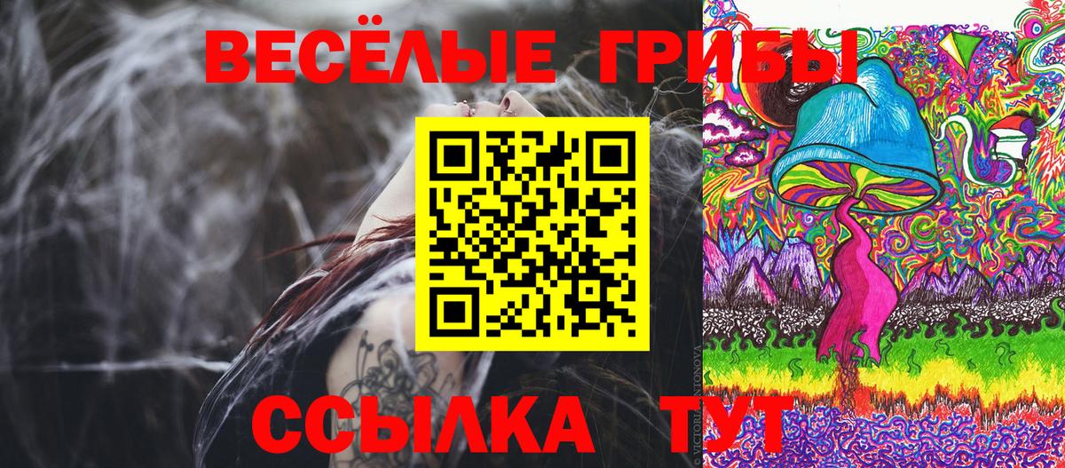 Вологда  Псилоцибиновые грибы Cubensis  Вход с VPN 