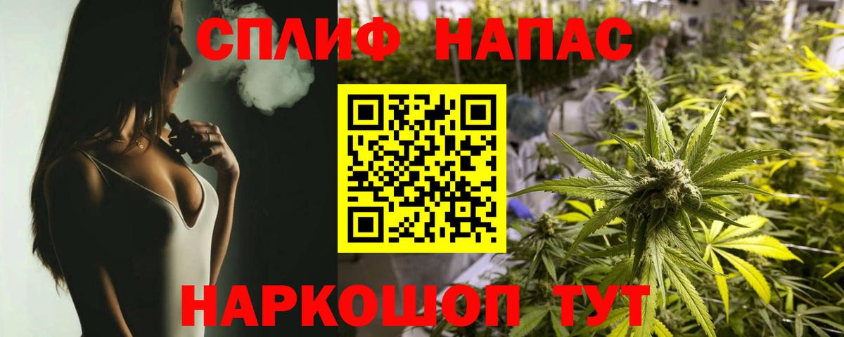 Вологда  Каннабис планчик  Каннабис семена  Канабис THC 21%  Бошки марихуана THC 21%  Вход с VPN 